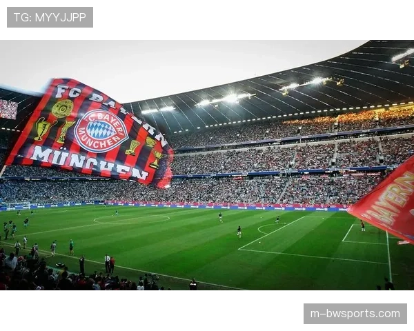 慕尼黑安联球场升级 排水系统将实现全面革新